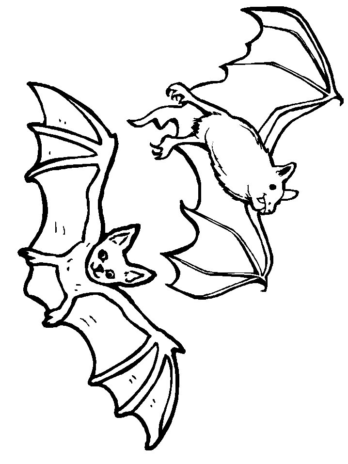 Free stellaluna printables download free stellaluna printables png images free cliparts on clipart library