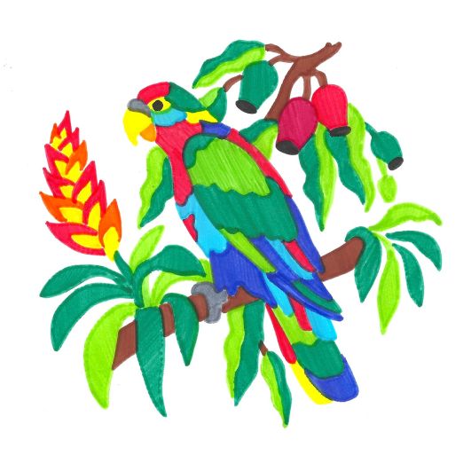 Parrot colorfolds stencil book