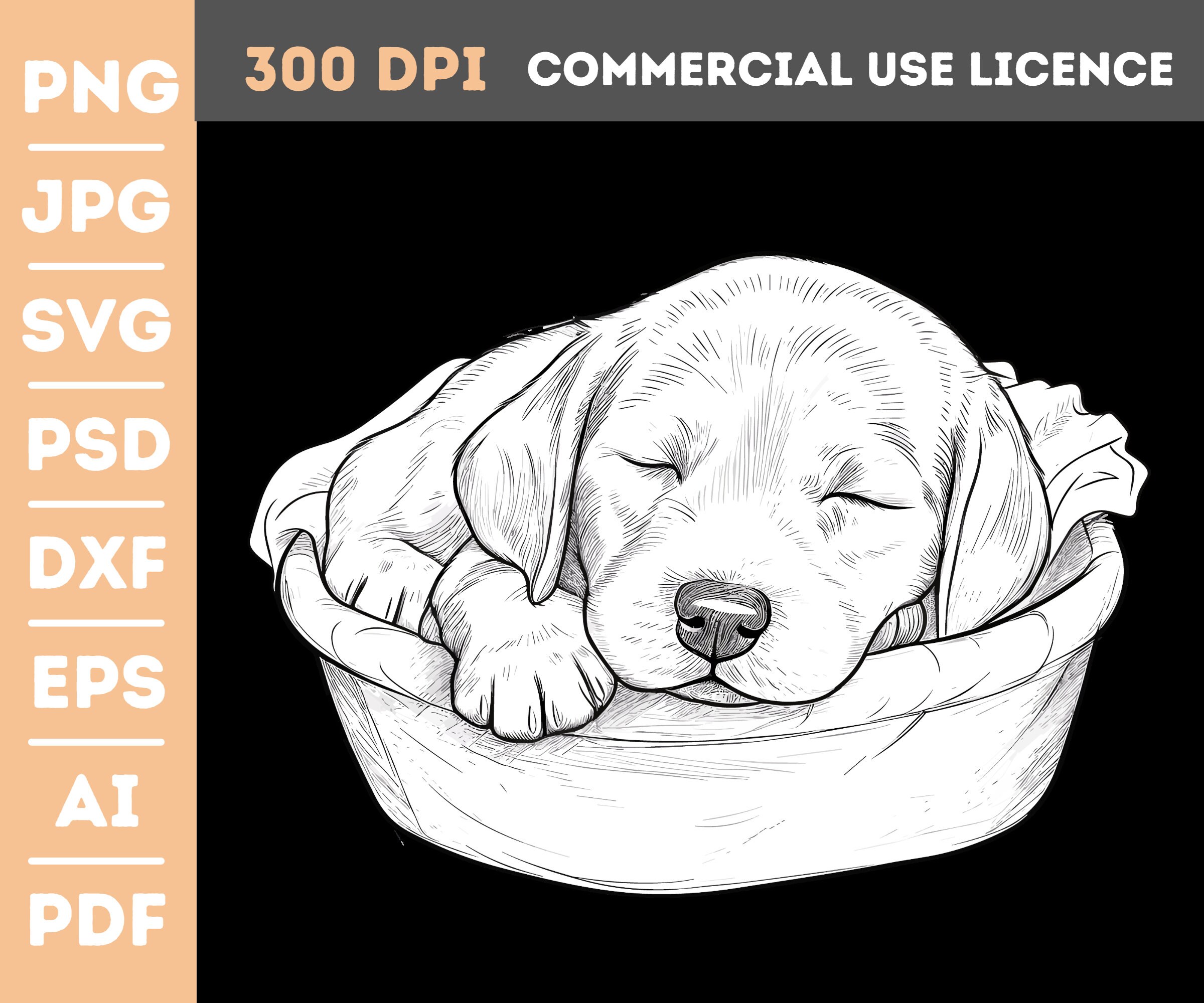 Labrador retriever coloring page clipart png jpg svg pds dxf eps ai pdf instant download mercial use vector graphic cl download now