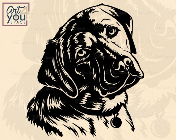 Labrador svg dog svg cricut lab face clipart head download vector png dxf t shirt stencil printable cut file silhouette