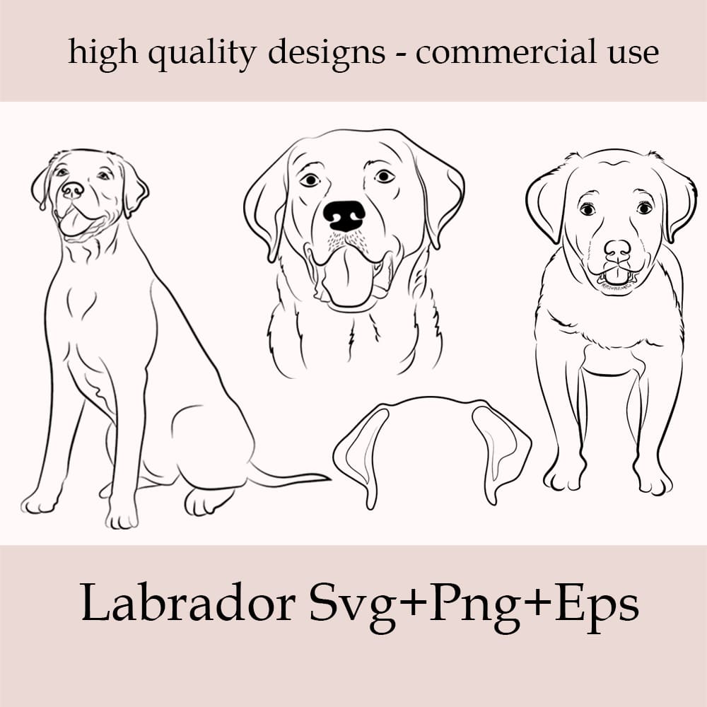 Labrador retreiver svg â