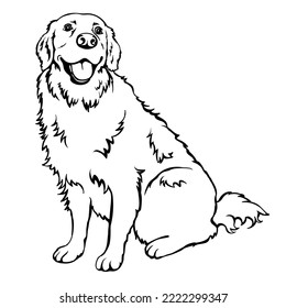 Labrador clip art images stock photos d objects vectors