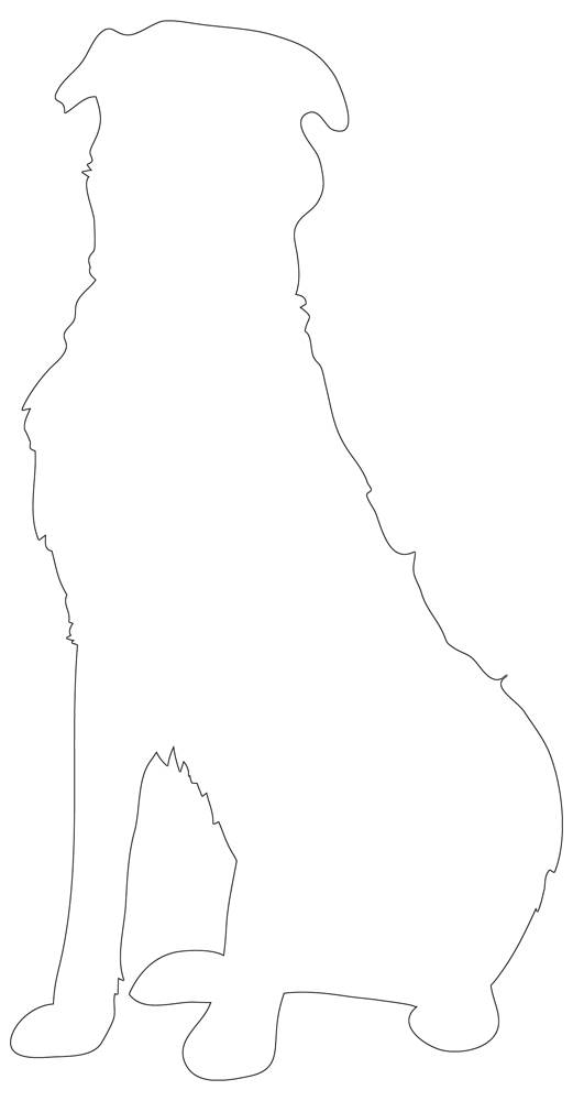 Labrador retriever outline