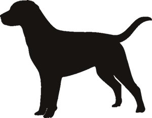Labrador retriever stencil