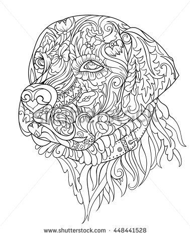 Labrador stock photos royalty