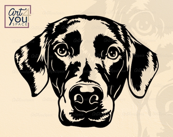 Labrador svg dog svg cricut black labrador retriever face clipart head download vector png dxf printable cut file cameo silhouette