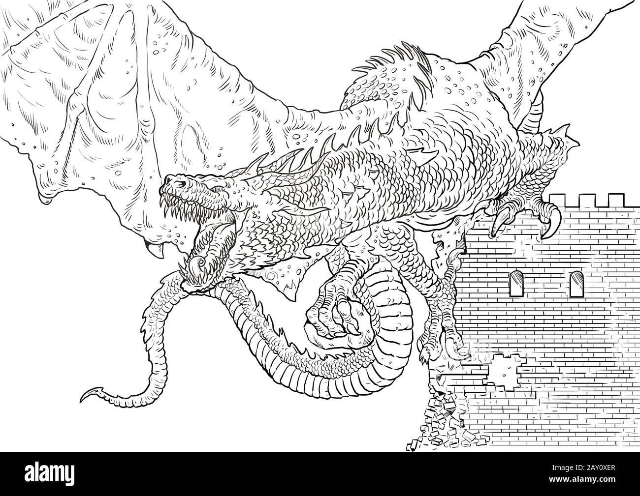 Dragon coloring page outline illustration dragon drawing coloring sheet stock photo