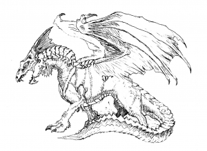 Knights castles and dragons