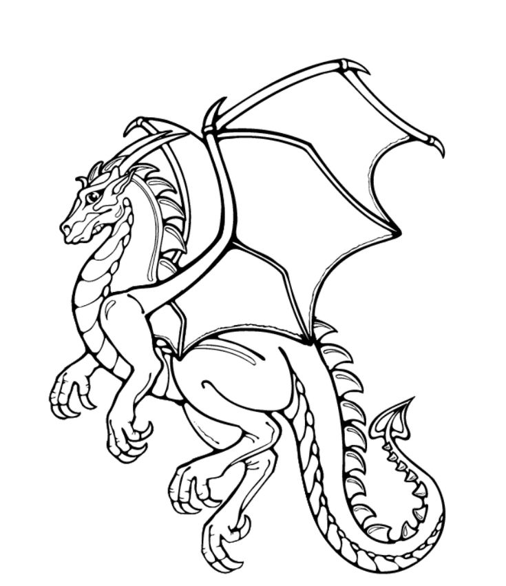 Dragon coloring pages realistic dragon coloring page printable coloring pages coloring pages to print