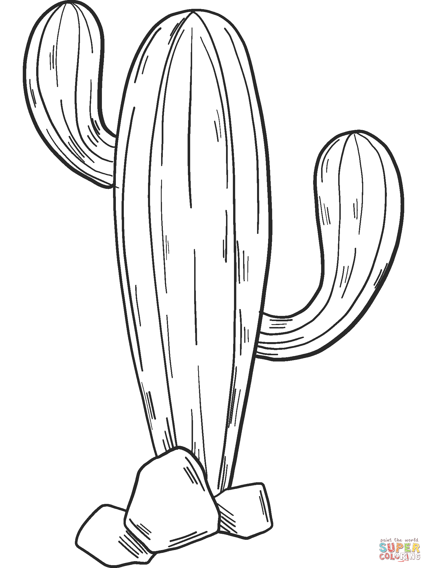 Cactus coloring page
