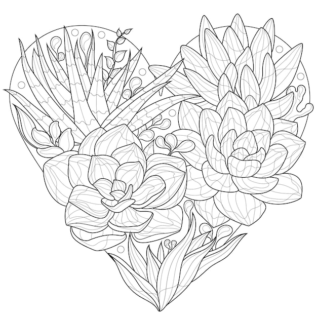 Premium vector heart shaped succulentscoloring book antistress for children and adults illustration isolated on white backgroundzen