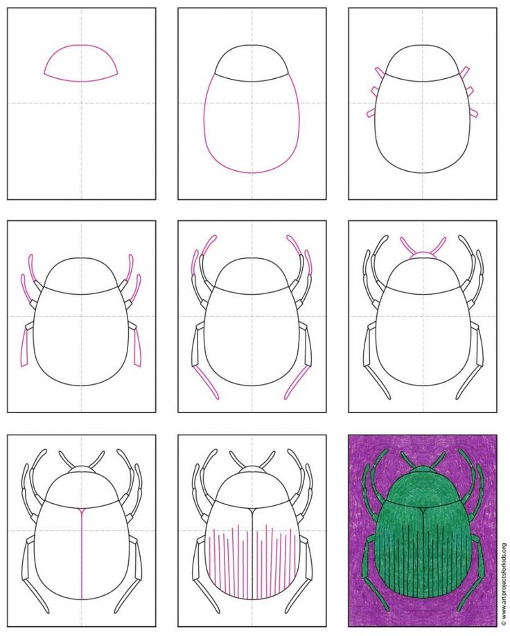 Easy how to draw a beetle tutorial and beetle coloring page beetle art insect art projects insect art