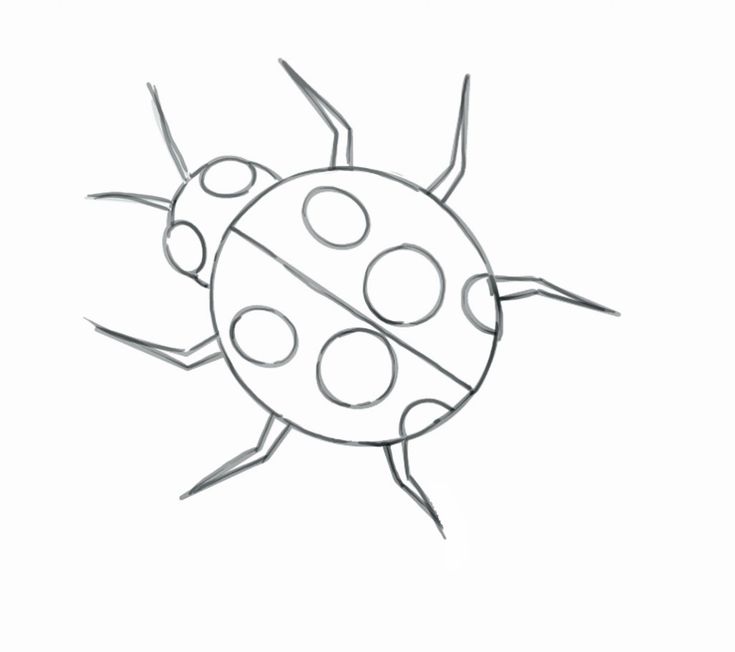 Ladybug drawing drawings ladybug bugs drawing