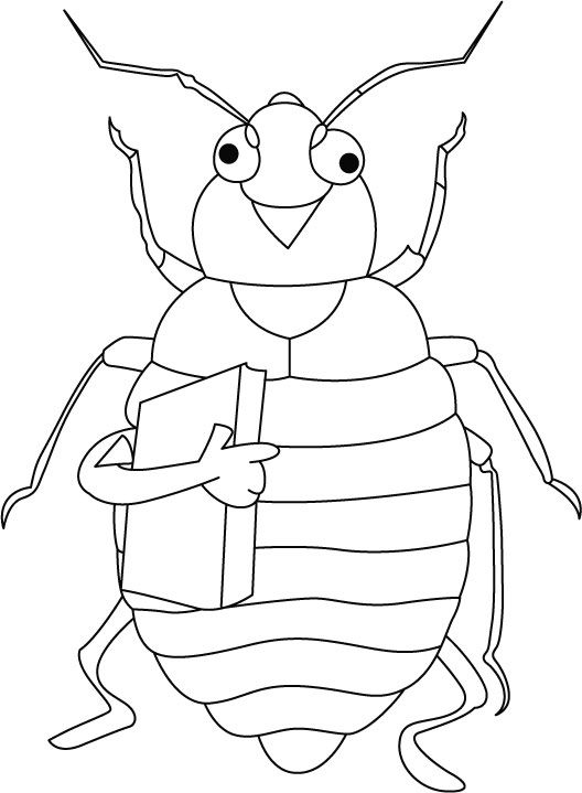 Bug coloring pages printable