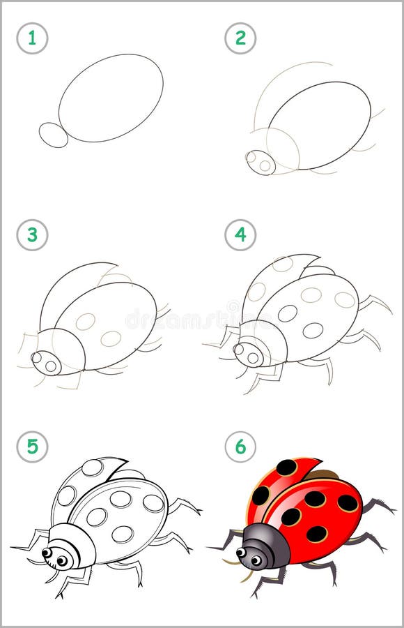 Educational page for kids how to draw step by step an insect ladybird back to school stock vector