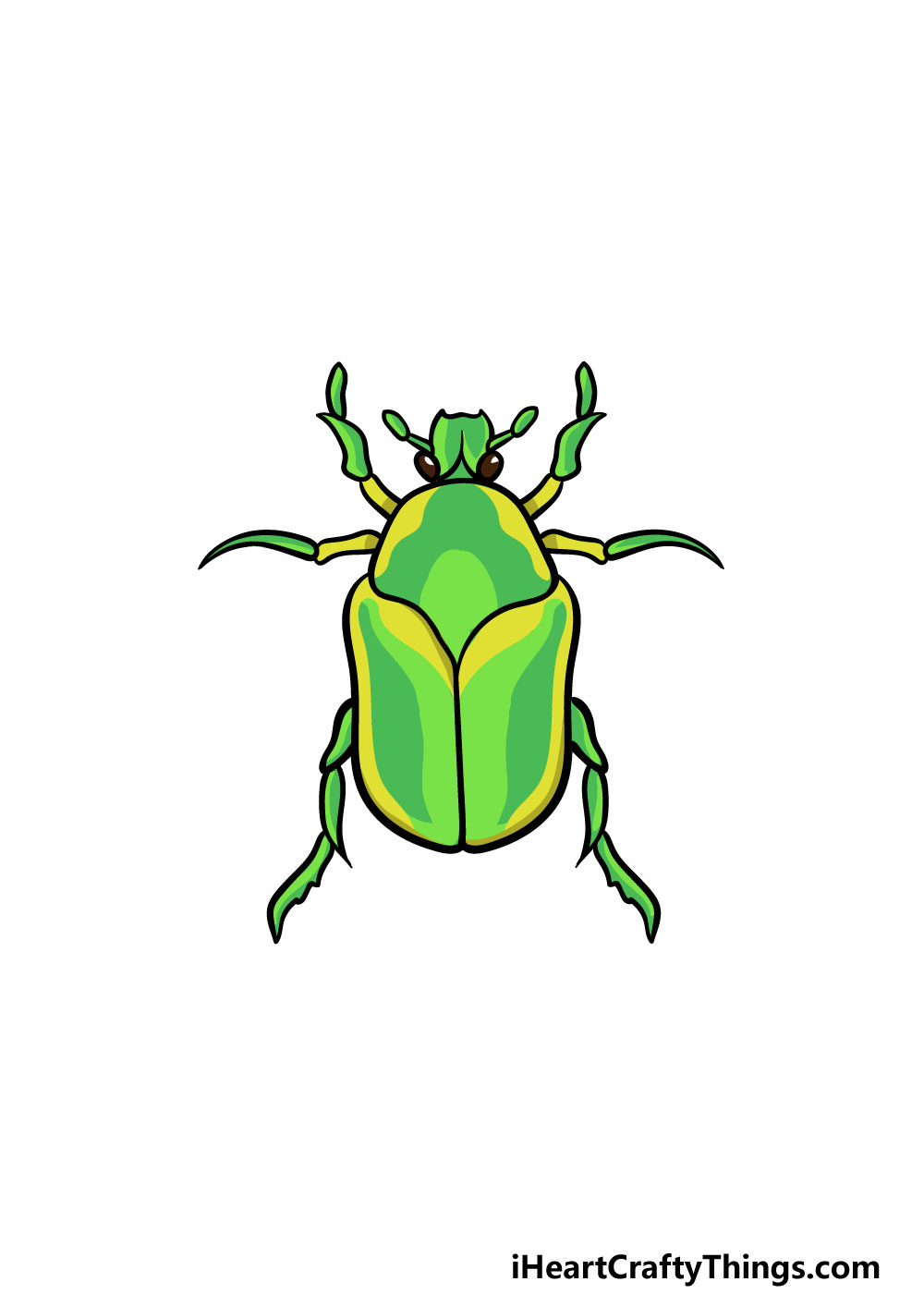 Bug drawing