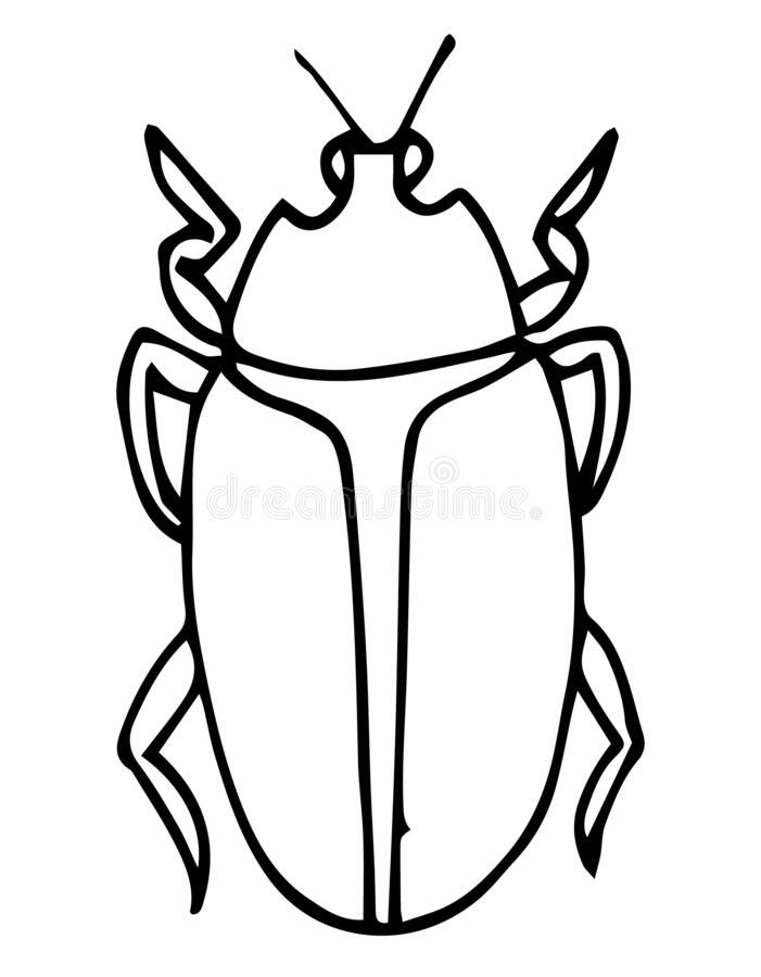 Beetle insect outline vector icon coloring page for kids exotic bug collection stock illustration