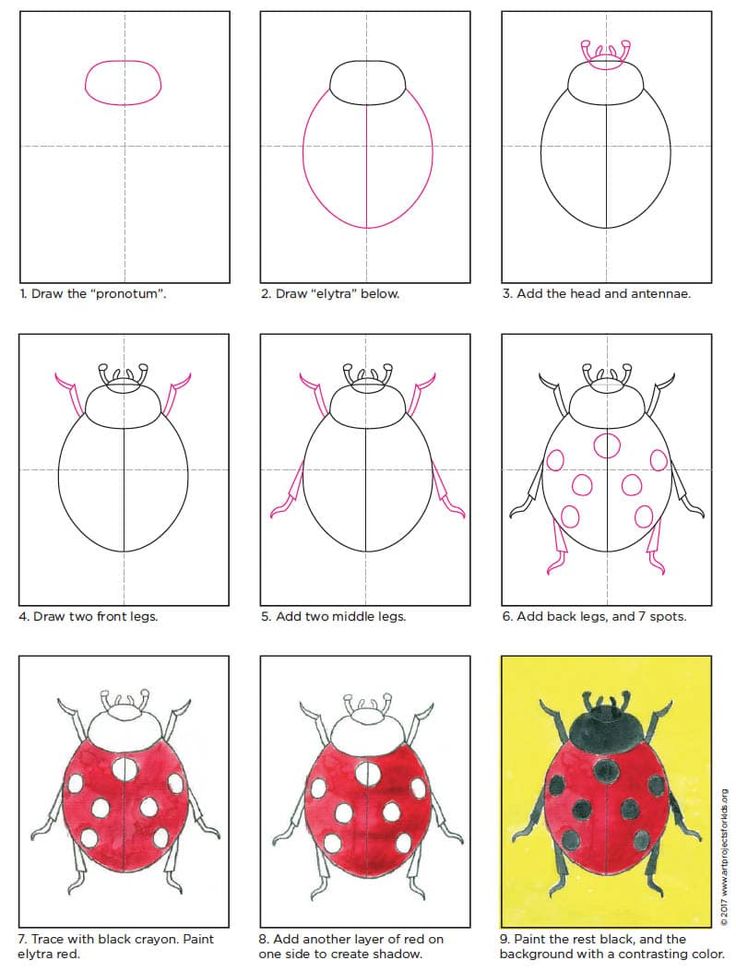 Easy how to draw a ladybug tutorial and ladybug coloring page ladybug art insect art projects ladybug coloring page