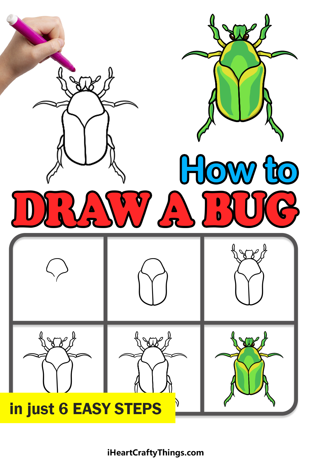 Bug drawing