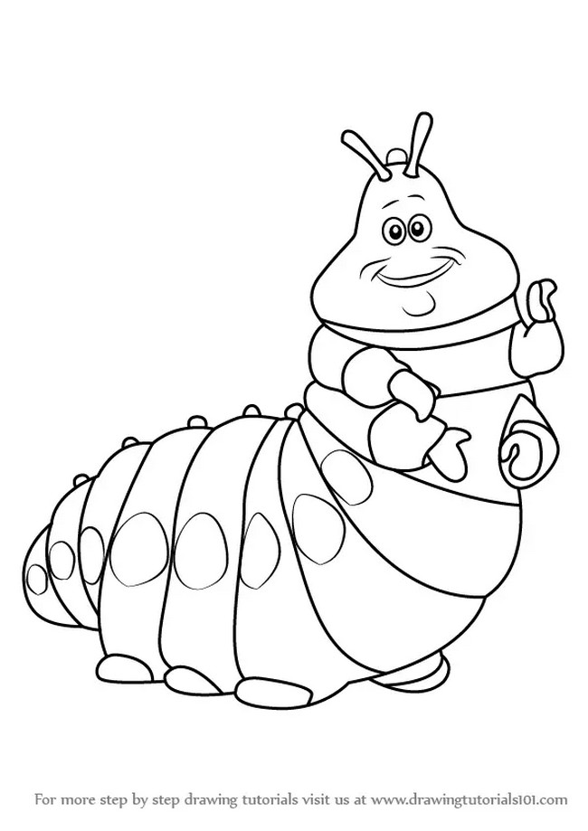Amazing bug drawings with step by step guide