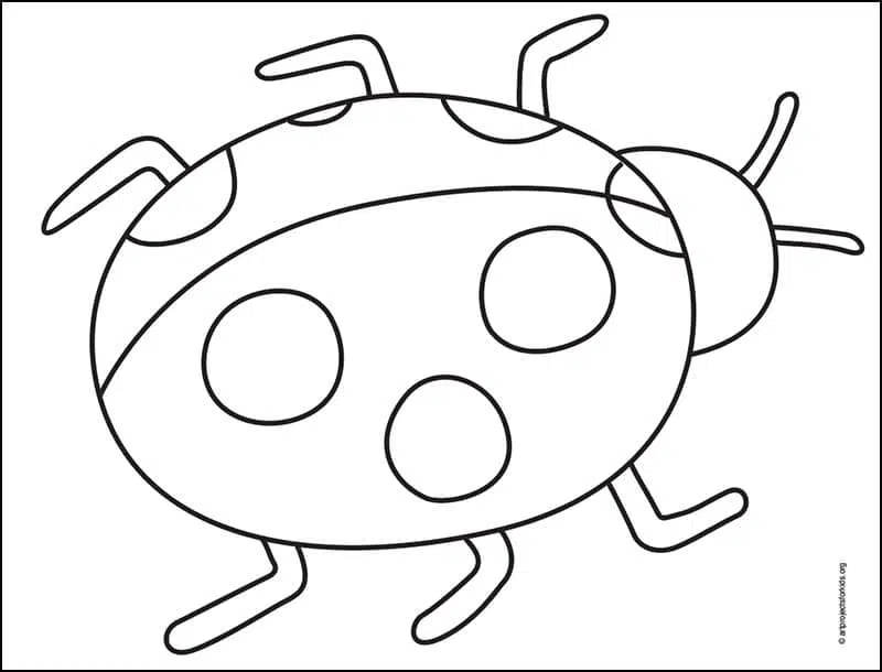Easy how to draw a ladybug tutorial and ladybug coloring page