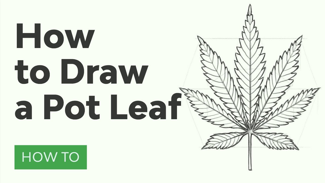 How to draw a pot leaf envato tuts