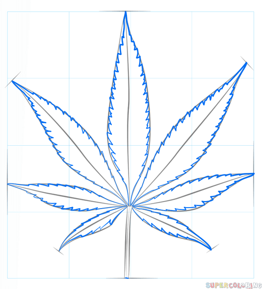 How to draw a pot leaf step by step drawing tutorials