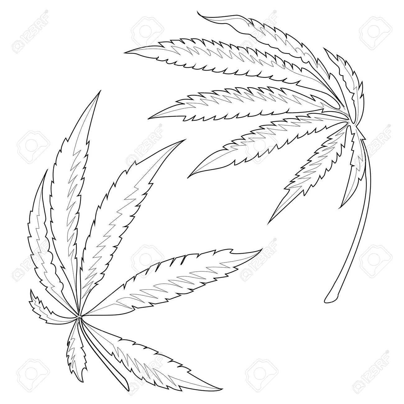 Two marijuana leaves form a spherical shape coloring book page black outline on a white background royalty free svg cliparts vectors and stock illustration image