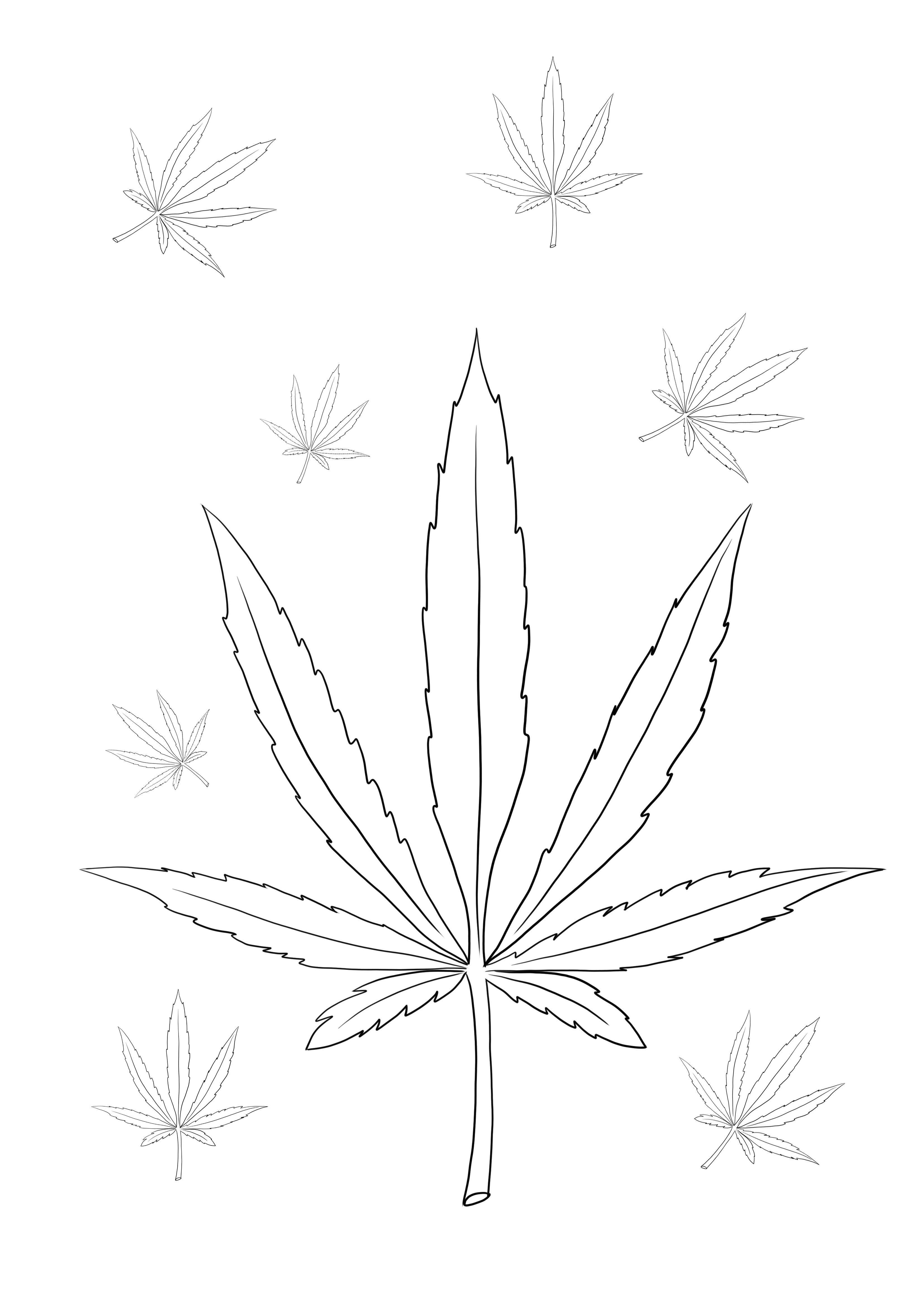 Weed leaf coloring sheet for free printing
