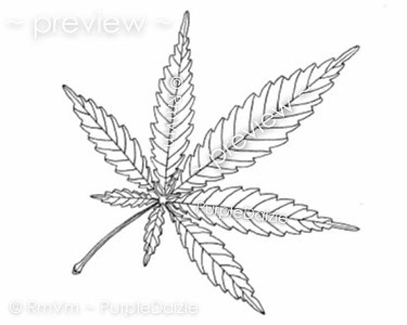 Adult printable coloring page mary jane cannabis marijuana