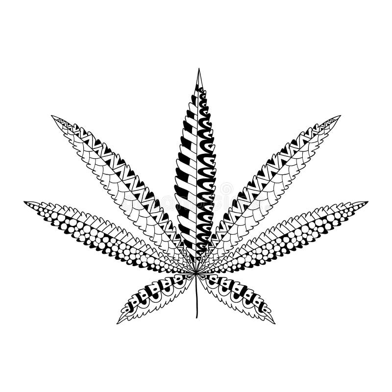 Hemp cannabis leaf in zentangle style marijuana ornamental silhouette stock vector