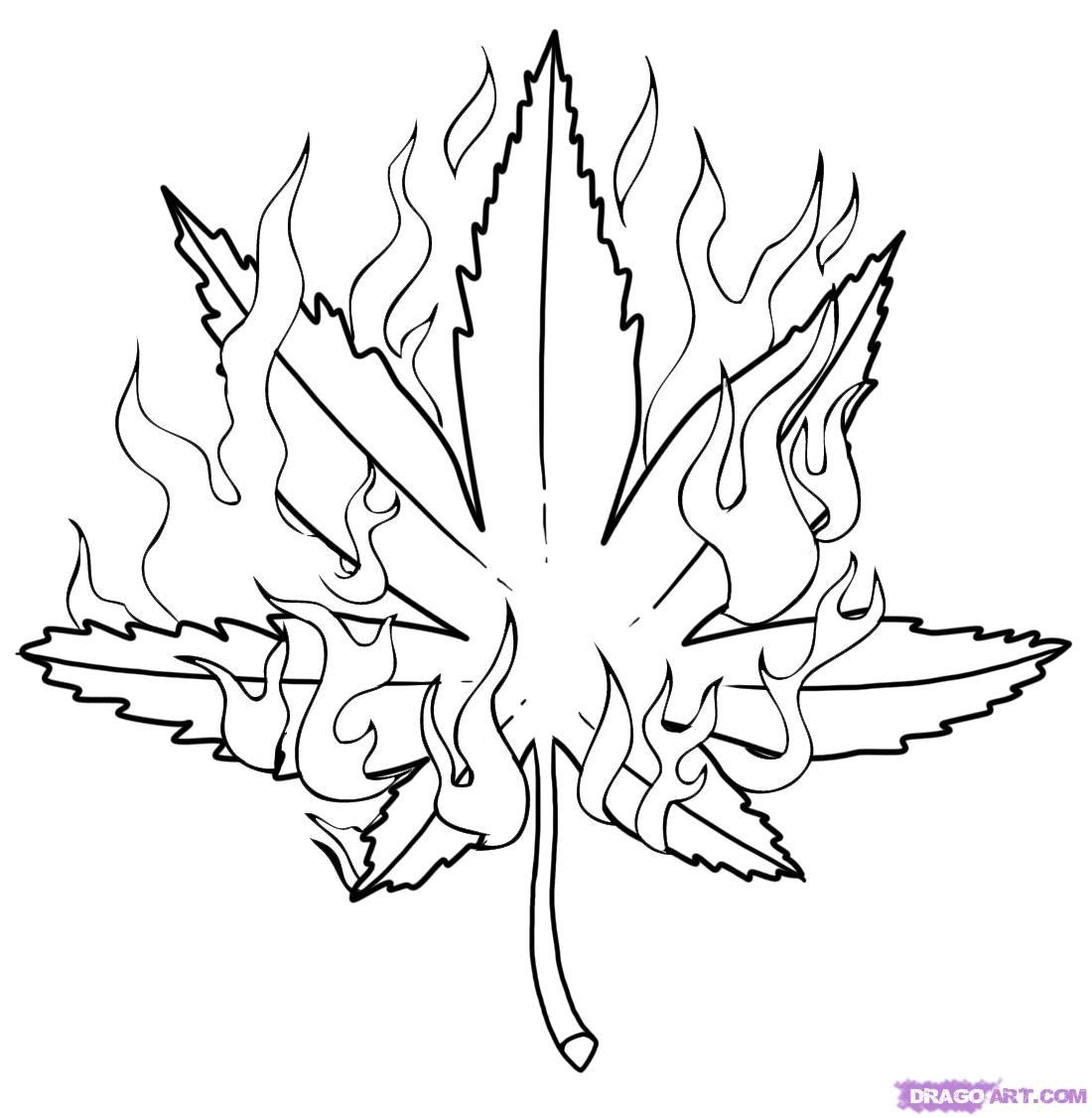 Weed leaf kanja