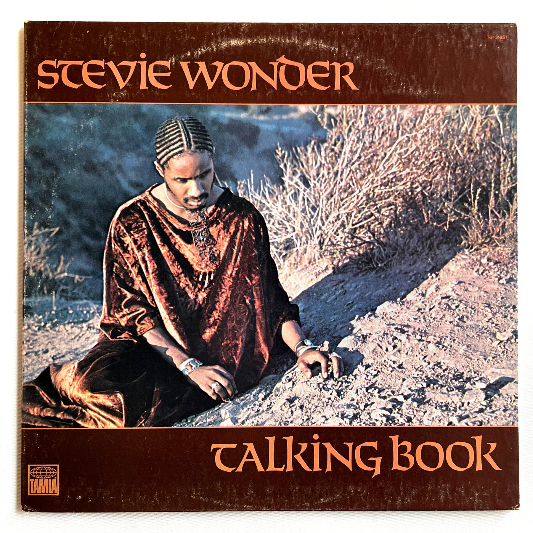 Stevie wonders talking book at