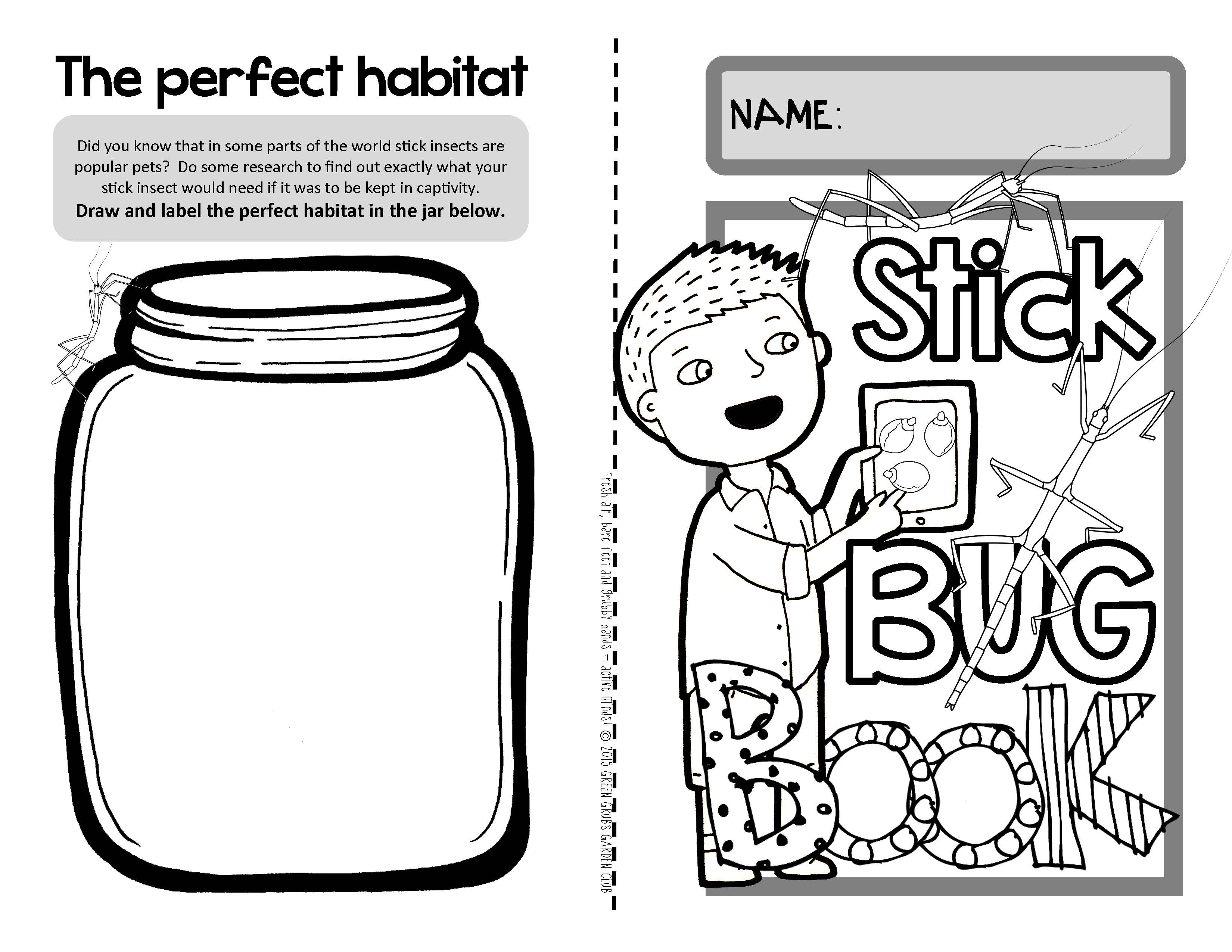 Stick insects fun facts about walking
