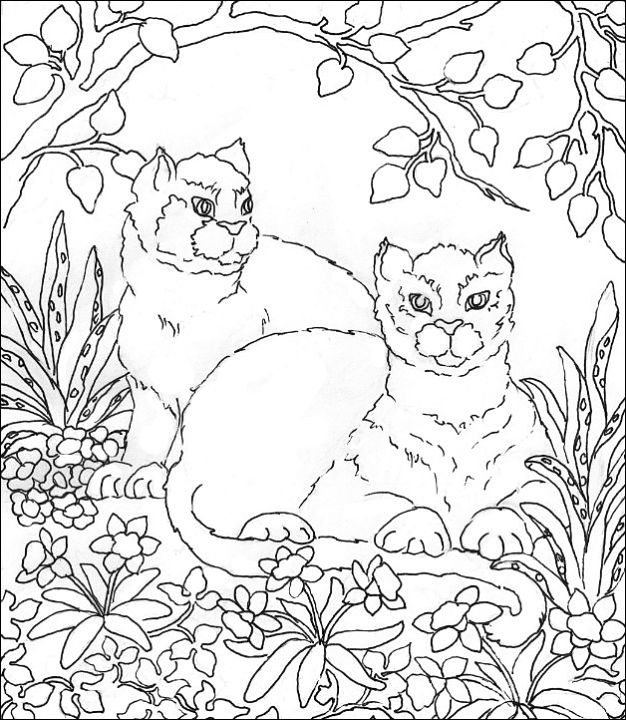 Free coloring pages