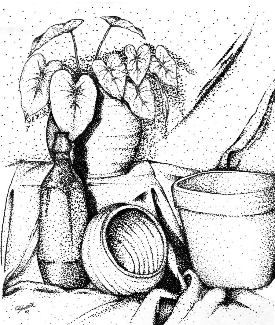 Free coloring pages still life download free coloring pages still life png images free cliparts on clipart library