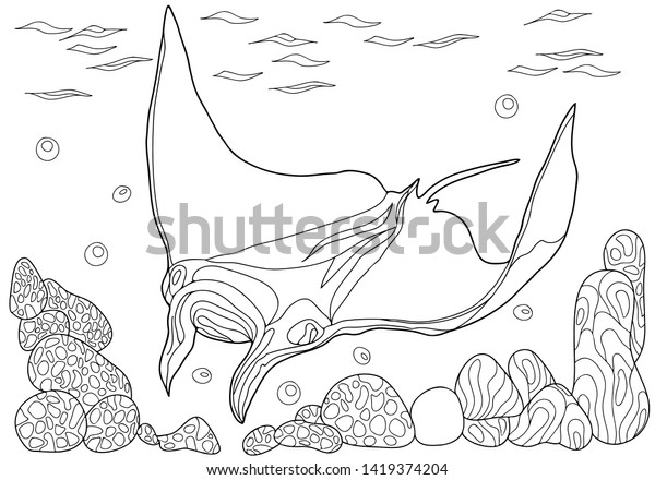 Coloring book children adults sea creatures stock vector royalty free