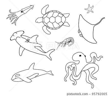 Vector swimming turtle squid stingray and