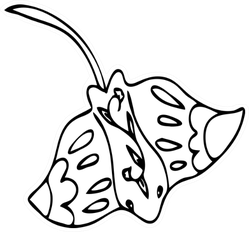 Stingray illustration doodle style coloring page sticker