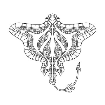 Stingray pattern images â browse photos vectors and video