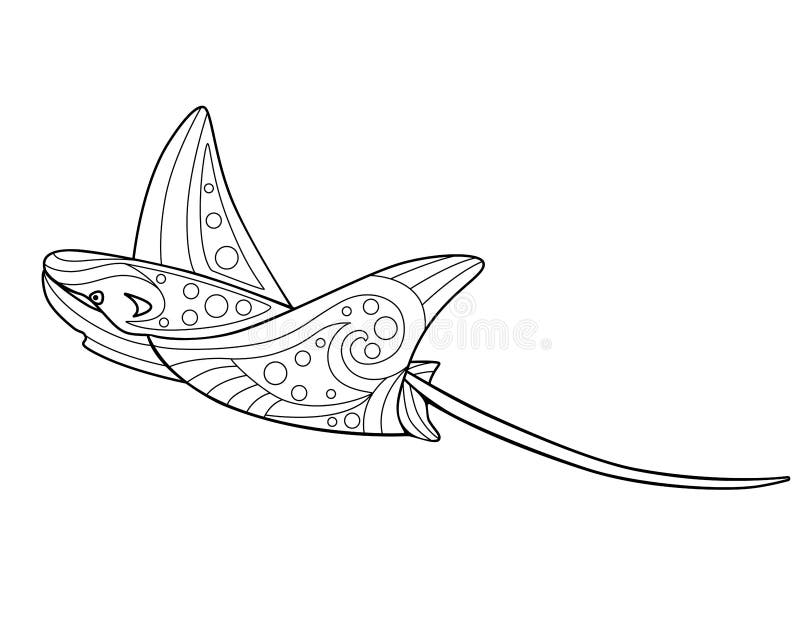 Stingray coloring stock illustrations â stingray coloring stock illustrations vectors clipart