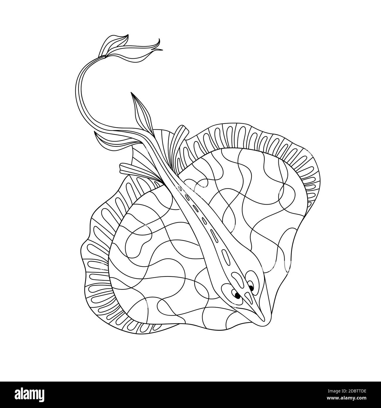 Stingray cut out stock images pictures