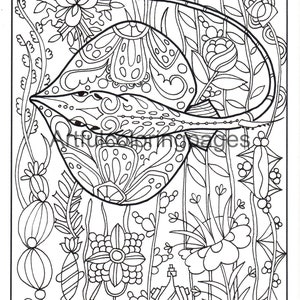 Stingray coloring