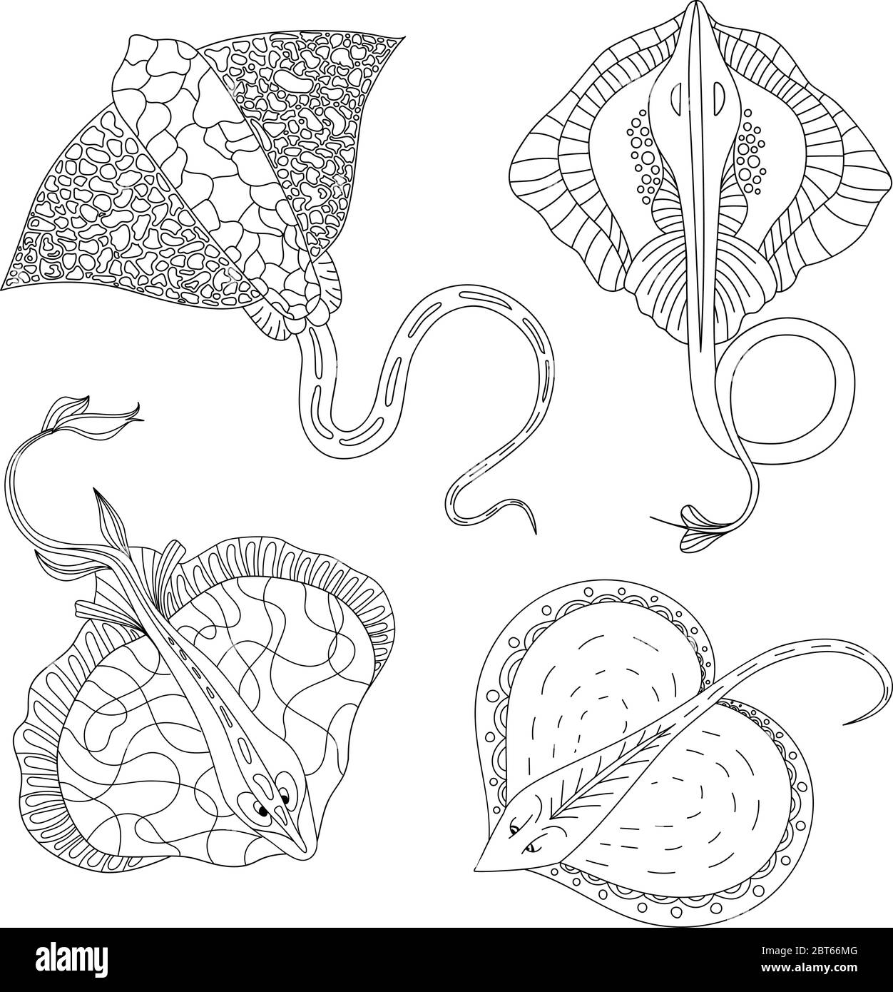 Manta ray rays stock vector images