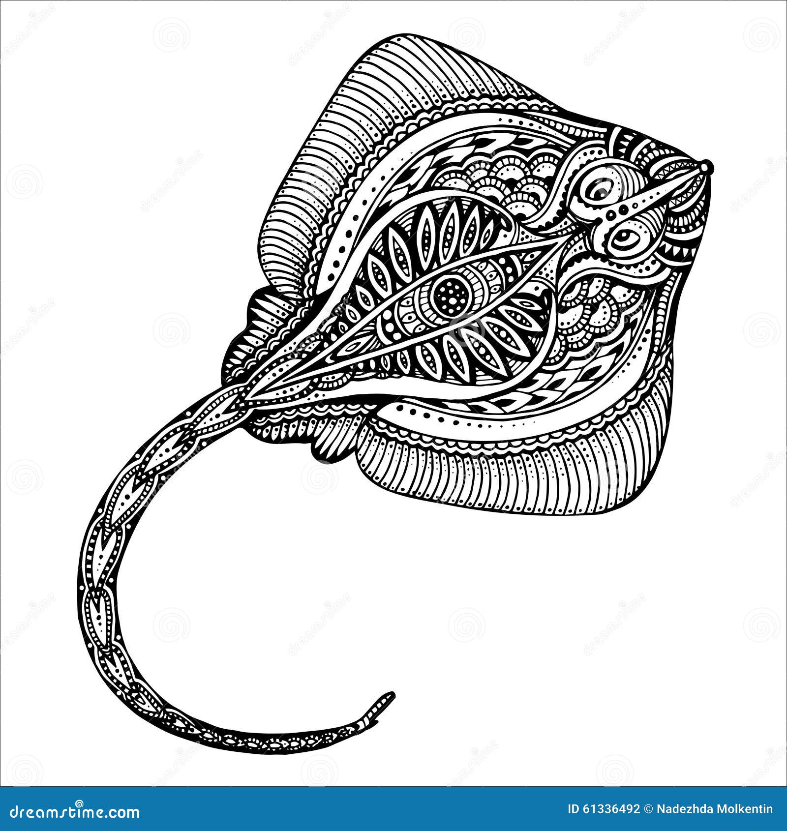 Stingray coloring stock illustrations â stingray coloring stock illustrations vectors clipart