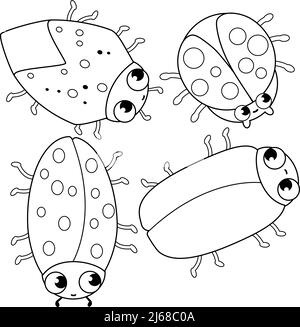 Stink bugs black and white stock photos images