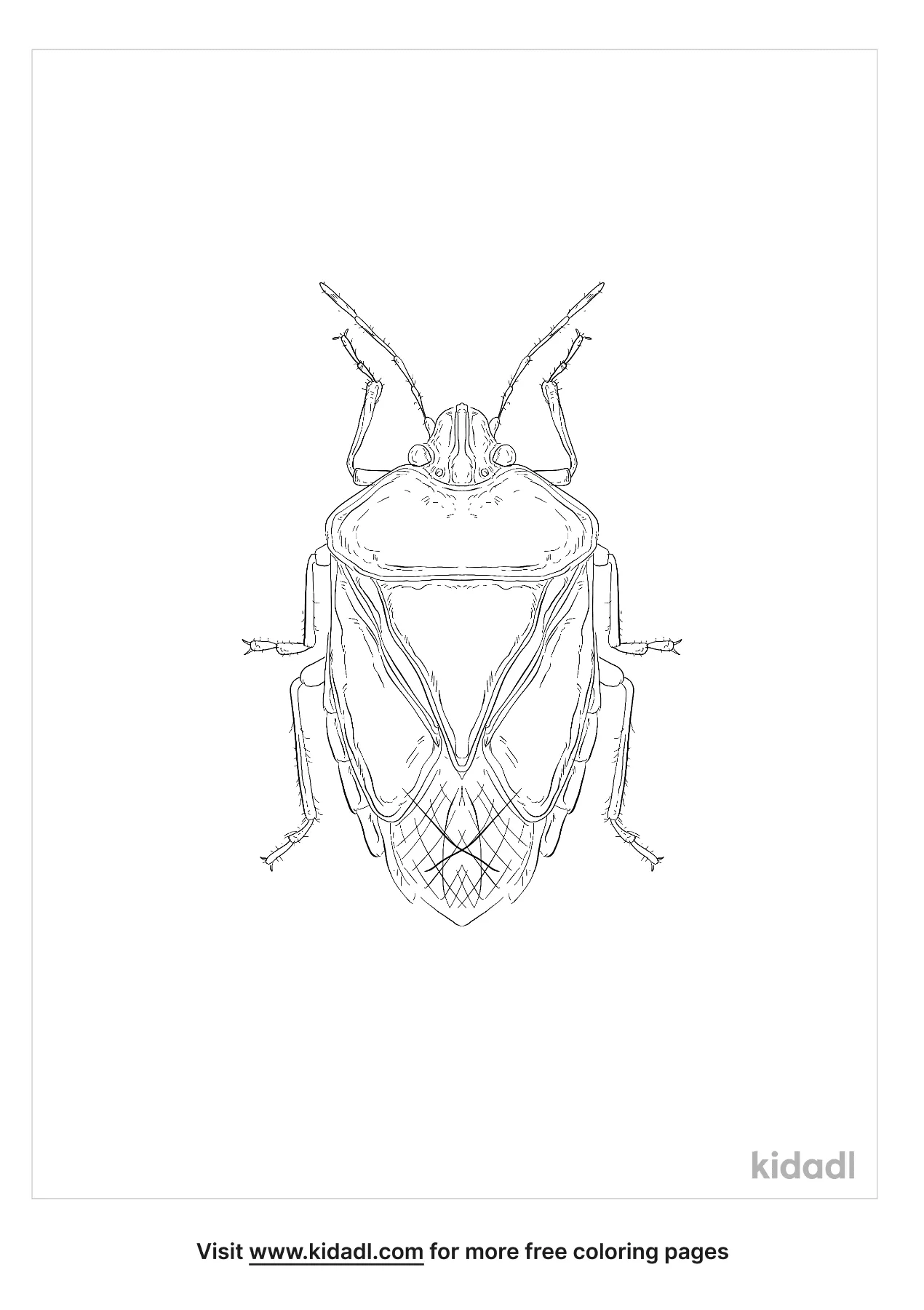 Free green stink bug coloring page coloring page printables