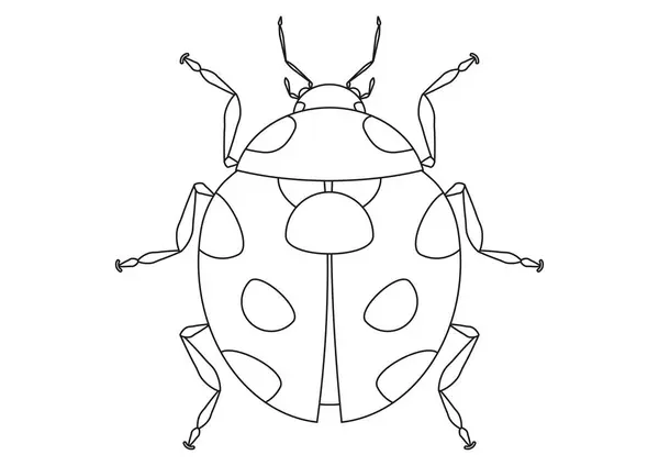 Stink bug vector images
