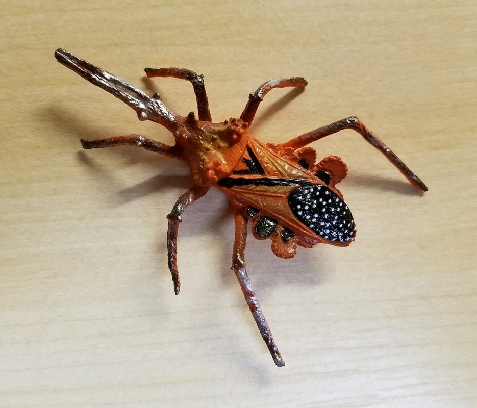 Exotic insects play visions