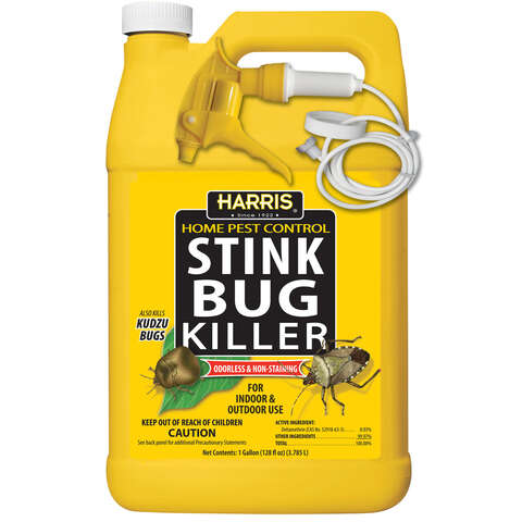 Harris home pest control stink bug killer liquid gal